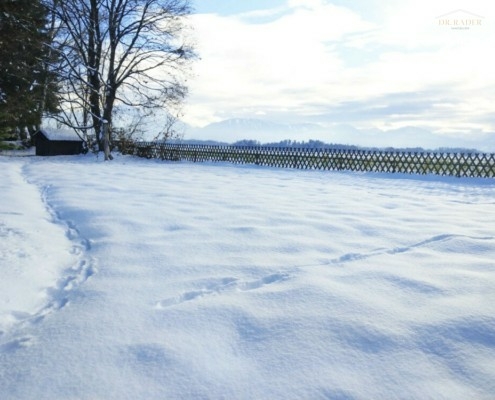 Baugrundstück in der Gemeinde Magdalensberg