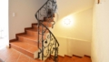 Gepflegtes Stiegenhaus