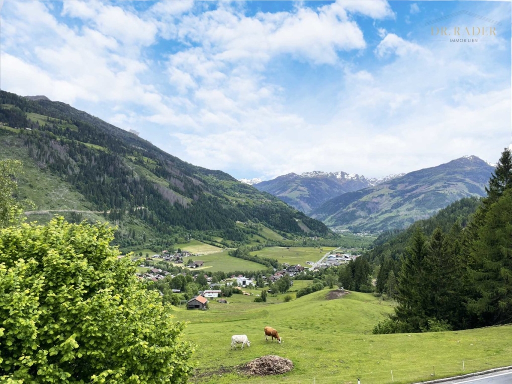 Ausblick