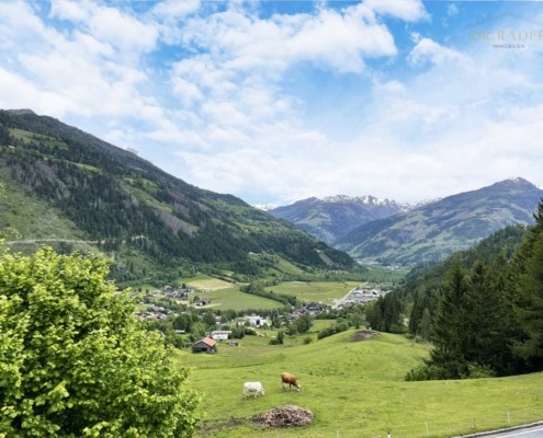 Ausblick
