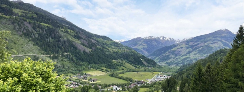 Ausblick