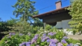 Schön angelegte Grünflächen rund ums Haus