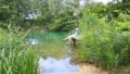 Privater Wasserzugang mit Steg