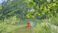 Impressionen Seebach