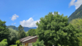 Aussicht vom Haupthaus