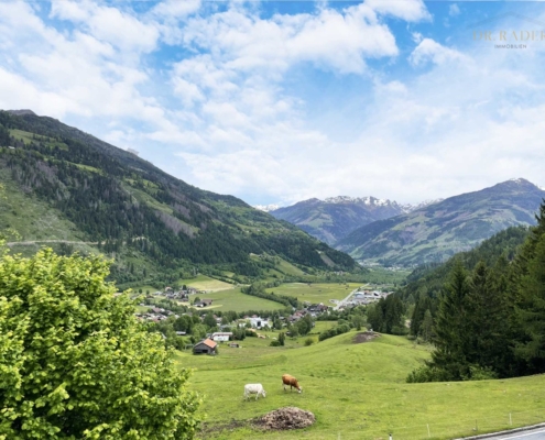 Ausblick vom Haus