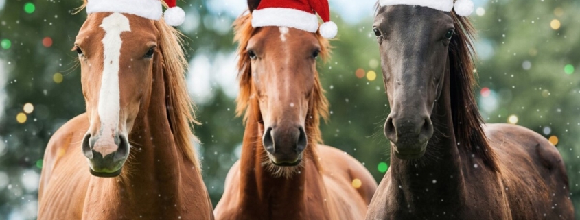 Pferde Weihnachtsfoto