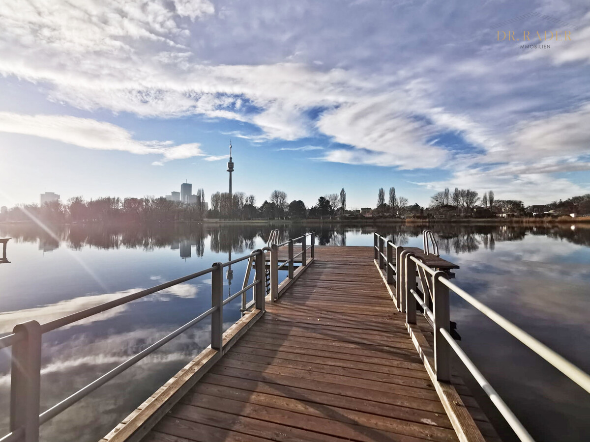 Steg an der Alten Donau