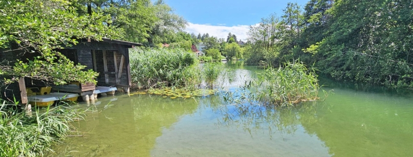 Impressionen Seebach