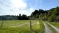 Foto der Immobilie (23654)