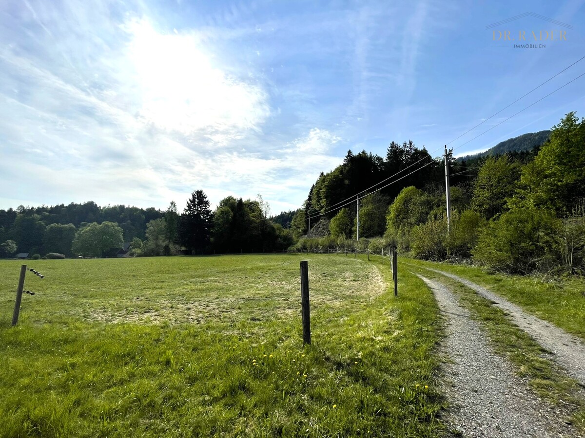 Foto der Immobilie (23654)