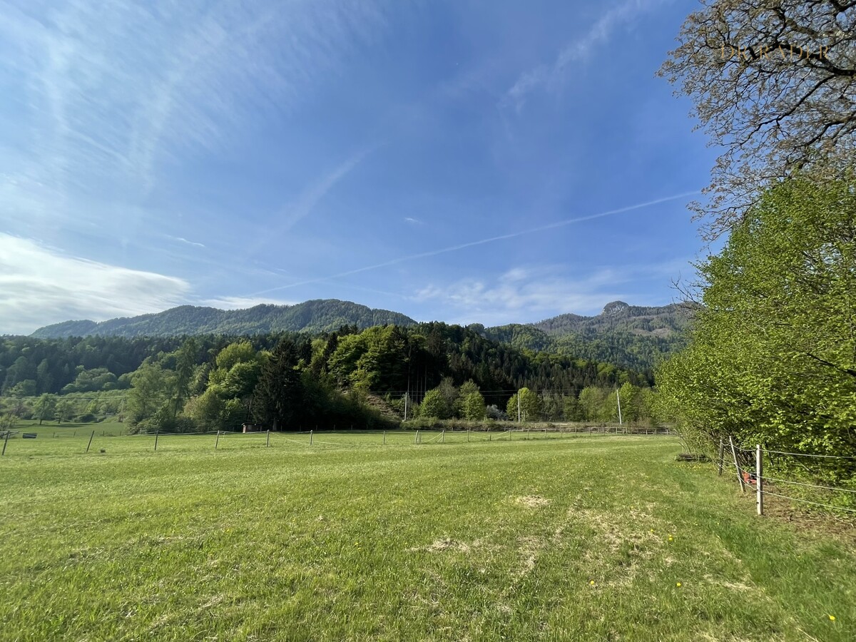 Foto der Immobilie (23653)