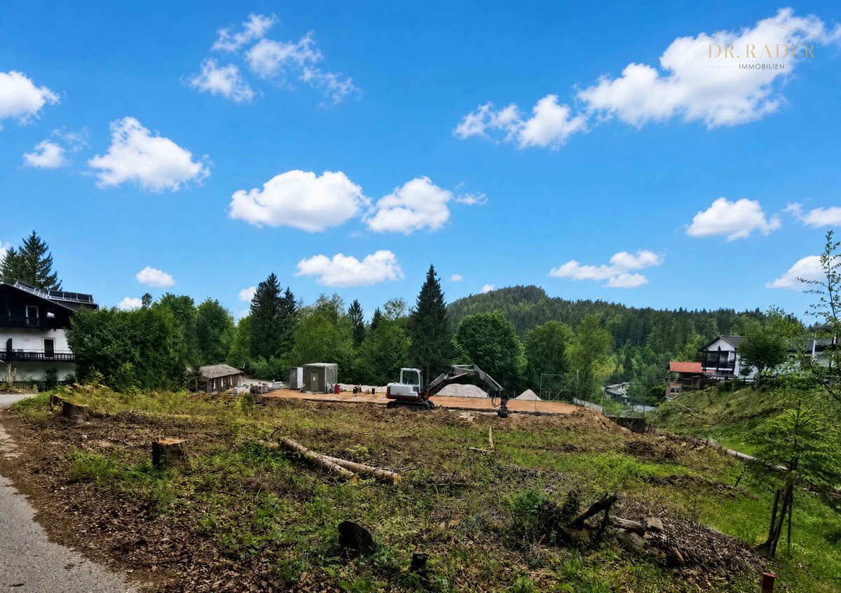 Grundstück Blick Richtung Westen