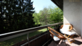 Foto der Immobilie (23634)