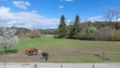 Aussicht zum Feld