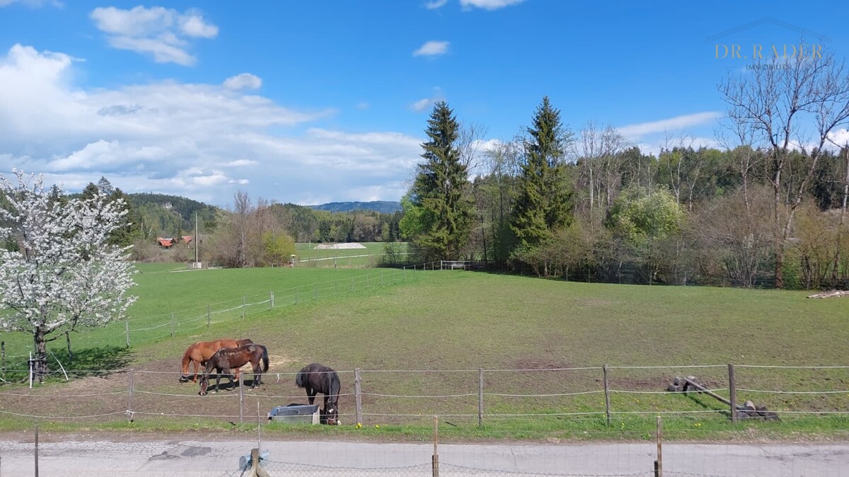 Aussicht zum Feld