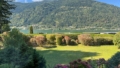 Aussicht Garten und See