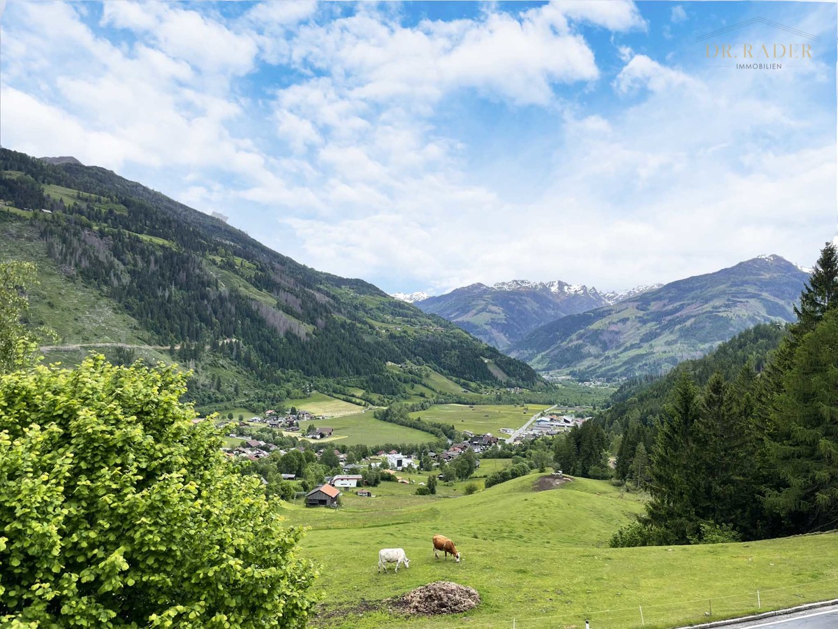 Ausblick