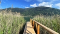 Steg zum Ossiachersee
